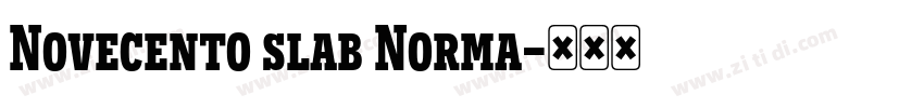 Novecento slab Norma字体转换